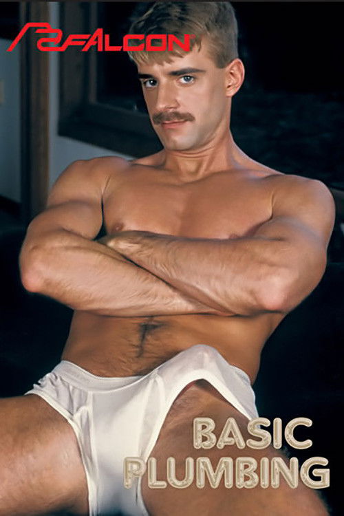 Basic Plumbing (1993) poster