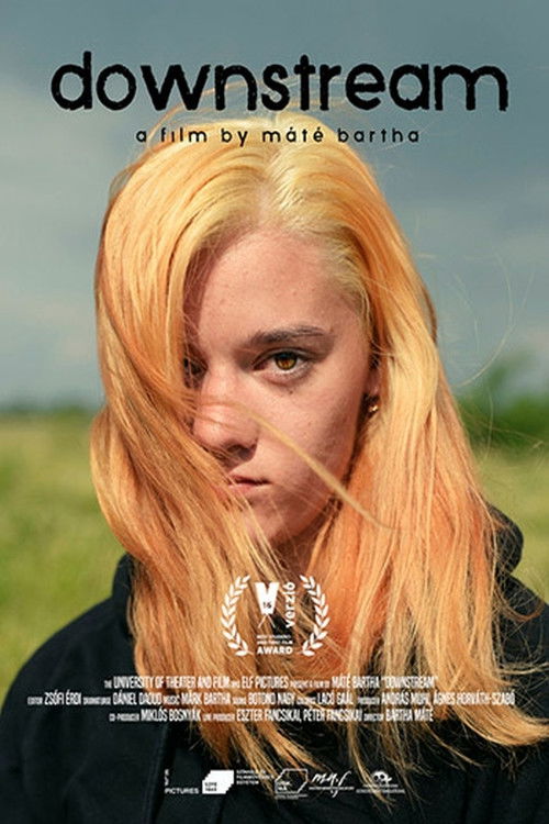 Downstream (2019) poster