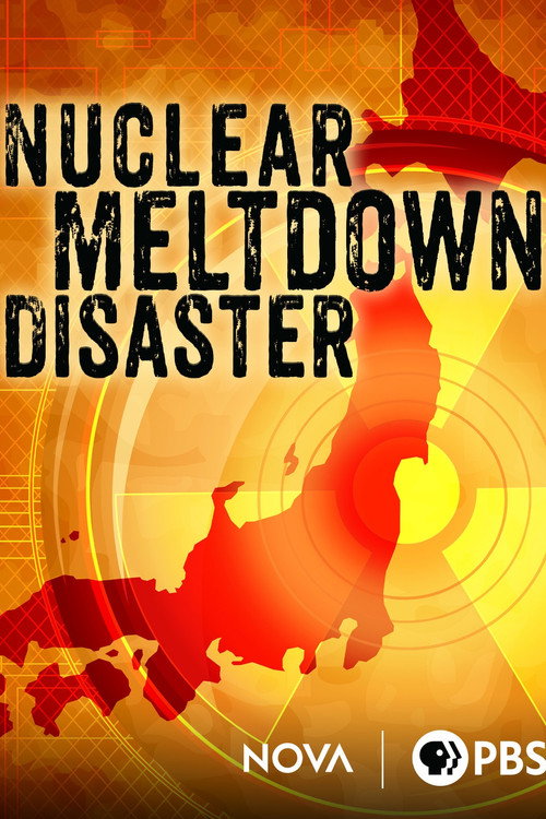 Nuclear Meltdown Disaster (2015) poster