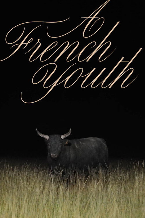 A French Youth (2024) poster