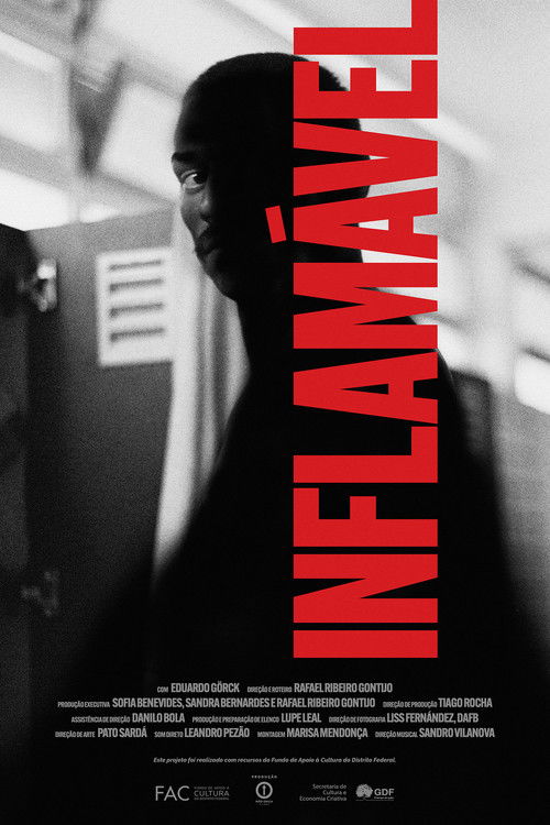 Inflamável (2024) poster