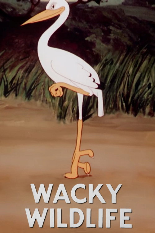 Wacky Wildlife (1940) poster