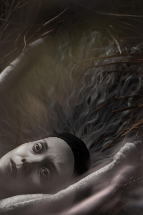 In Perpetuum (2023) poster