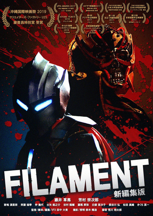 FILAMENT (2017) poster