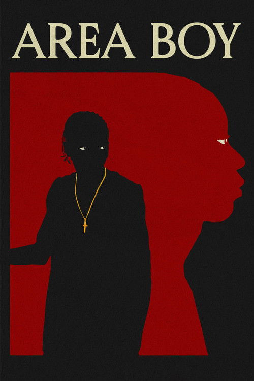Area Boy (2023) poster