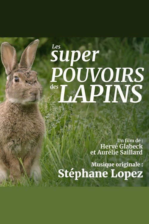 Les super pouvoirs du lapin (2018) poster