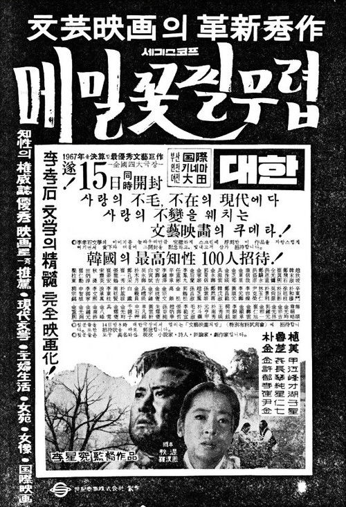 메밀꽃 필 무렵 (1967) poster