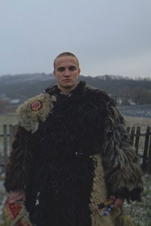 Прах, що осідає шаром на поверхні poster