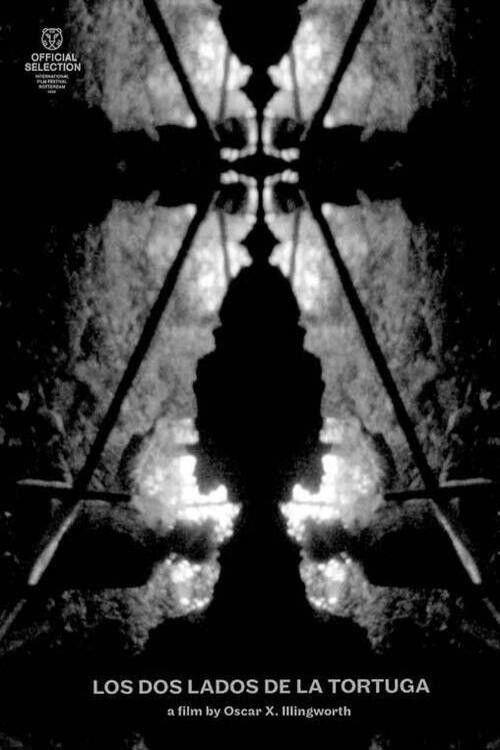 Two Sides of the Tortoise (2024) poster