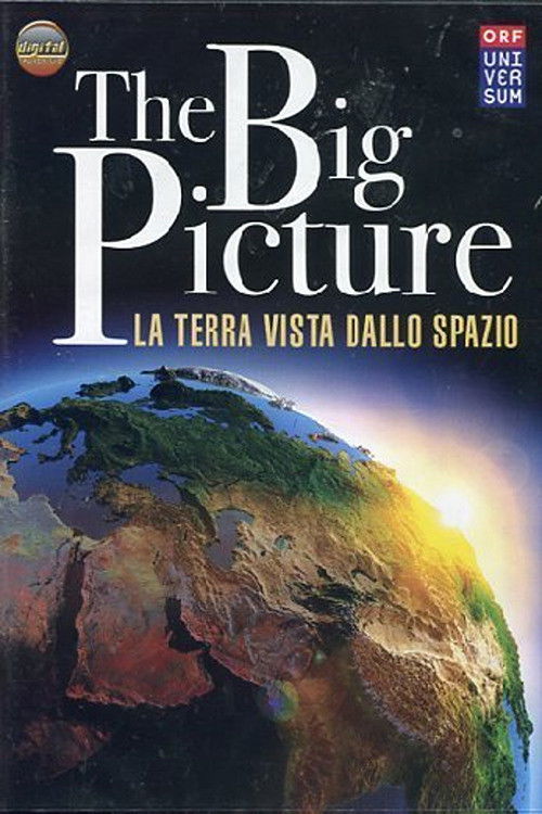 The big picture (2011) poster