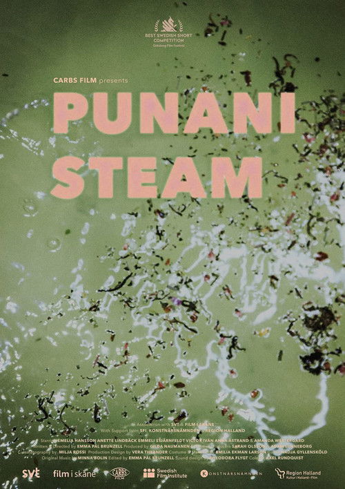 Punani Steam (2021) poster