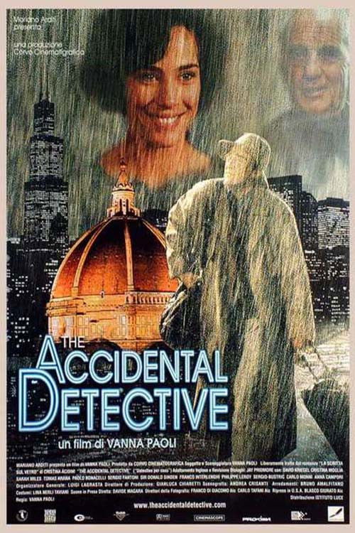 The Accidental Detective (2003) poster