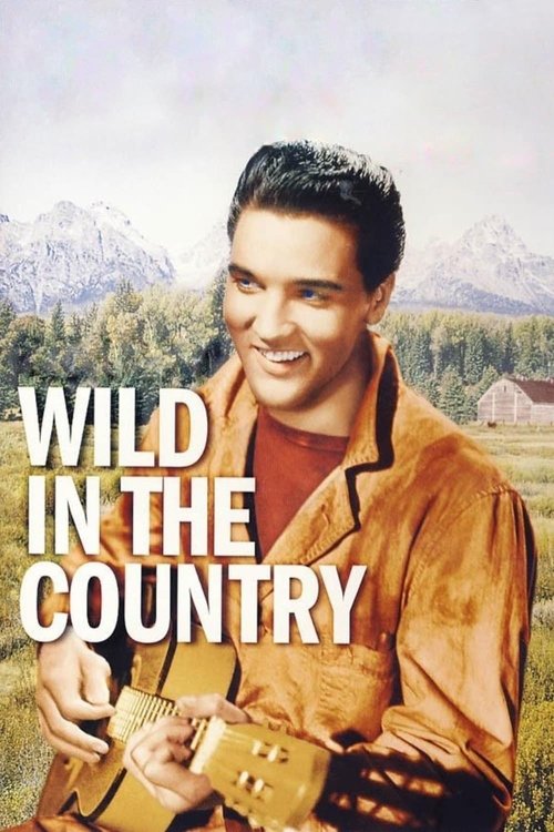 Wild in the Country (1961) poster