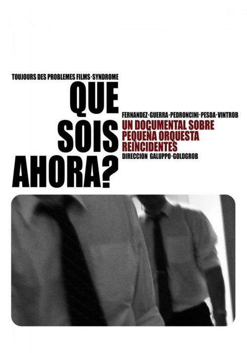 Qué sois ahora? (2011) poster