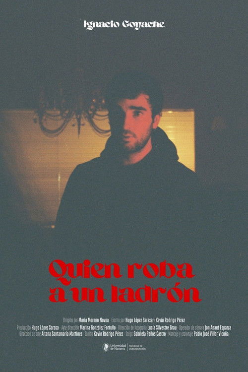 Quien roba a un ladrón poster