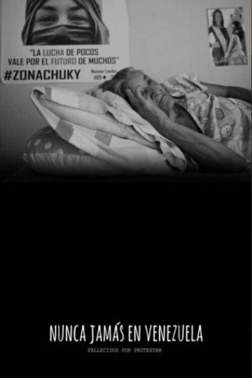 Nunca Jamás en Venezuela: Fallecidos por protestar (2019) poster
