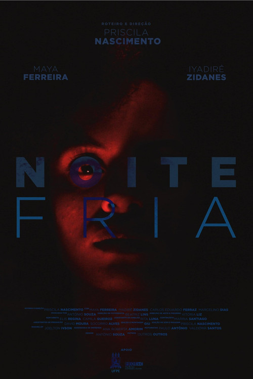 Noite Fria (2020) poster