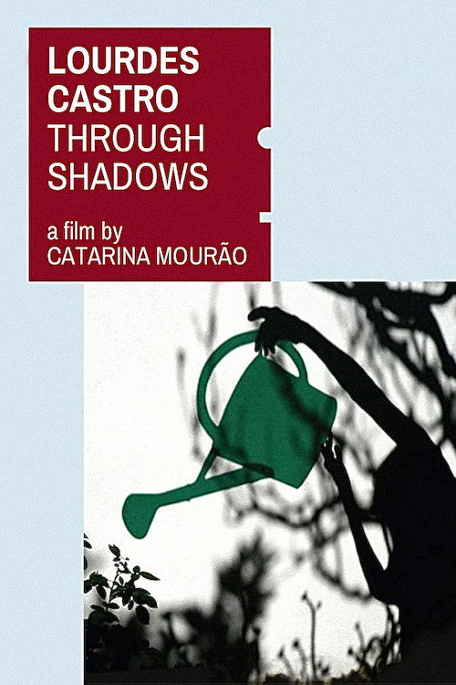 Through Shadows (2010) poster