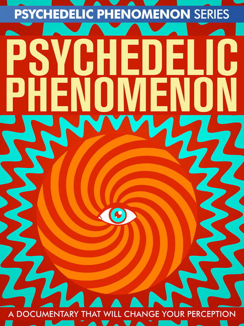 Psychedelic Experiences (2023) poster