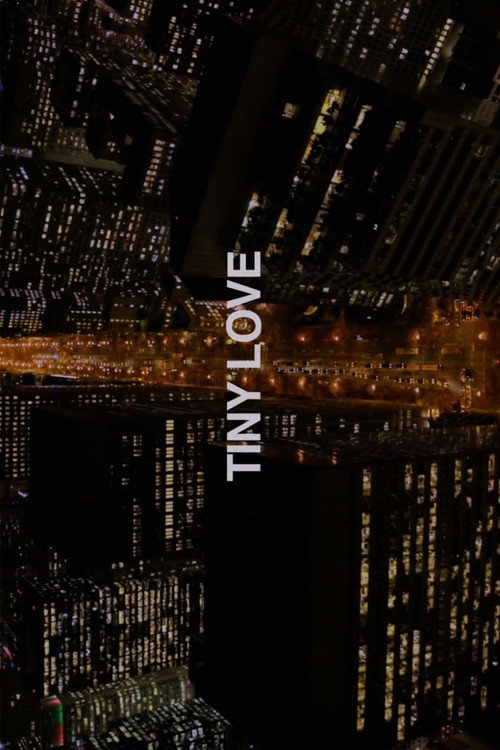 Tiny Love (2013) poster