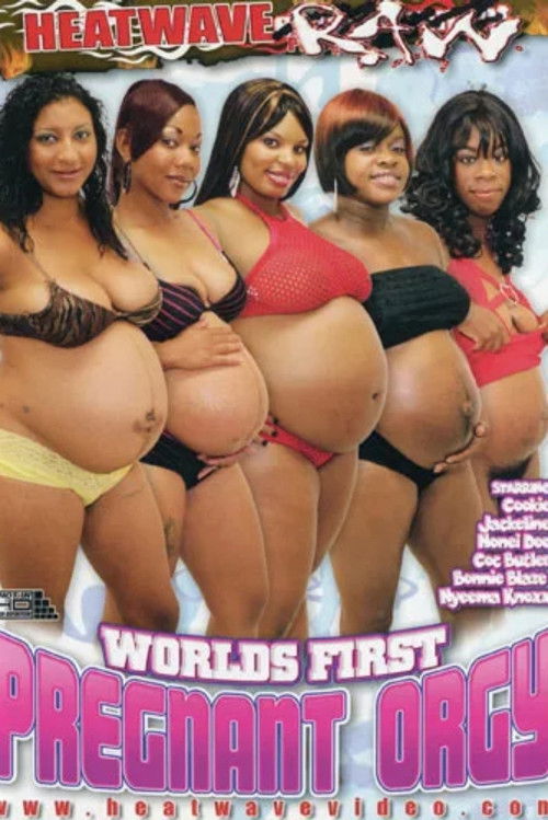 Worlds First Pregnant Orgy (2009) poster