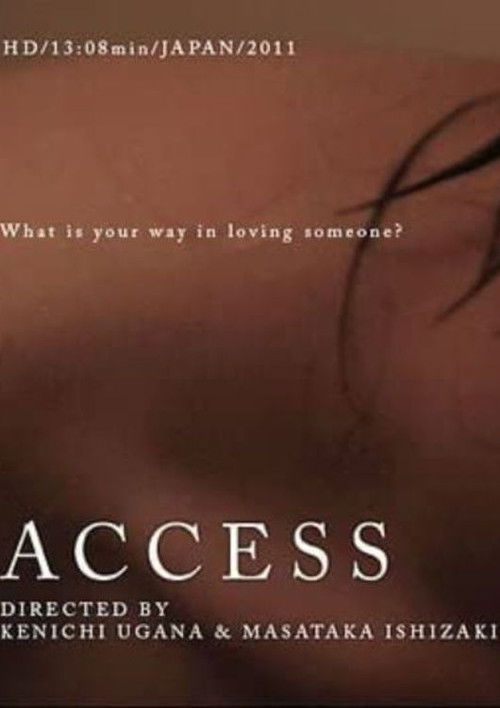 Access (2010) poster
