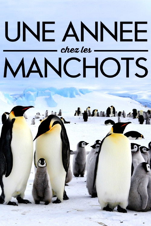 A Year With the Penguins (2017) poster