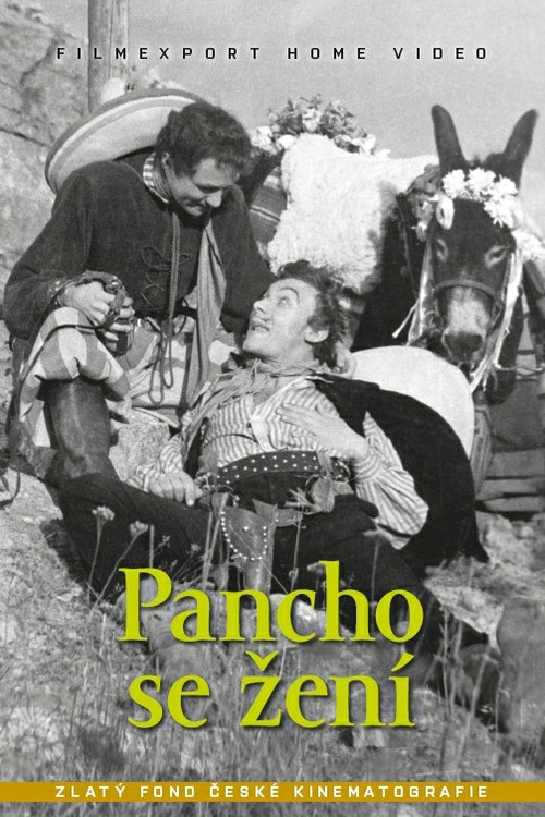 Pancho se žení (1946) poster