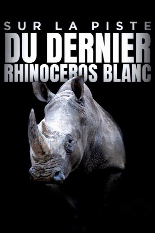 Sur la piste du dernier rhinocéros blanc (2022) poster