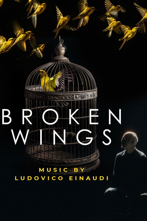 Broken Wings (2025) poster