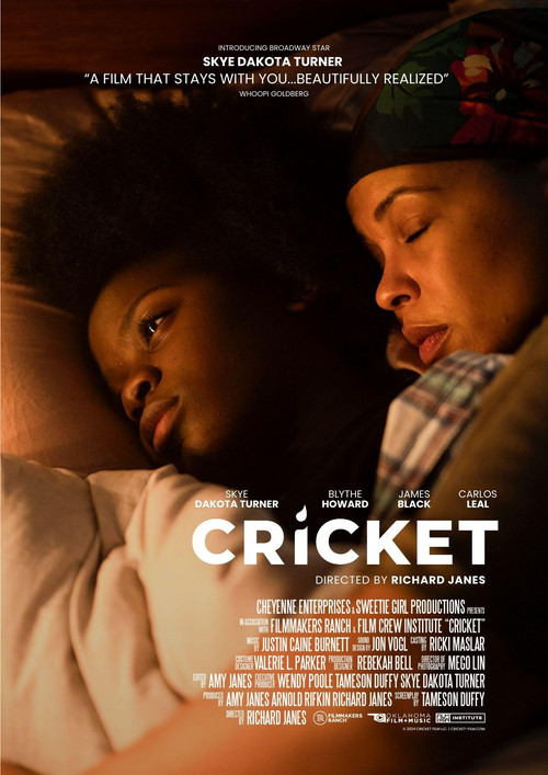 Cricket (2024) poster