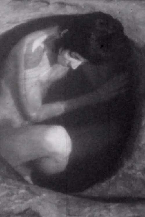 Sumidouro/Nada Continua (2023) poster