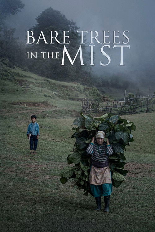 Bare Trees in the Mist (2019) poster