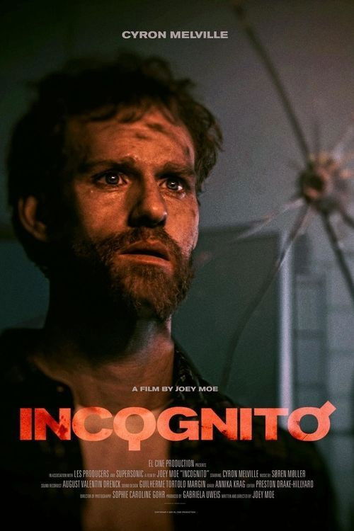 Incognito (2021) poster