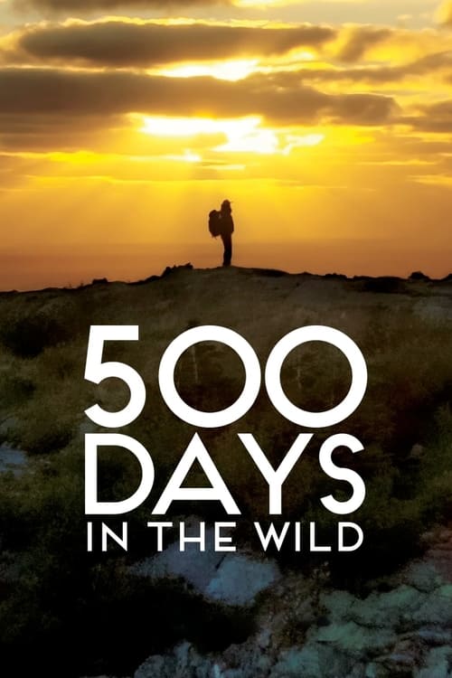 500 Days in the Wild (2024) poster