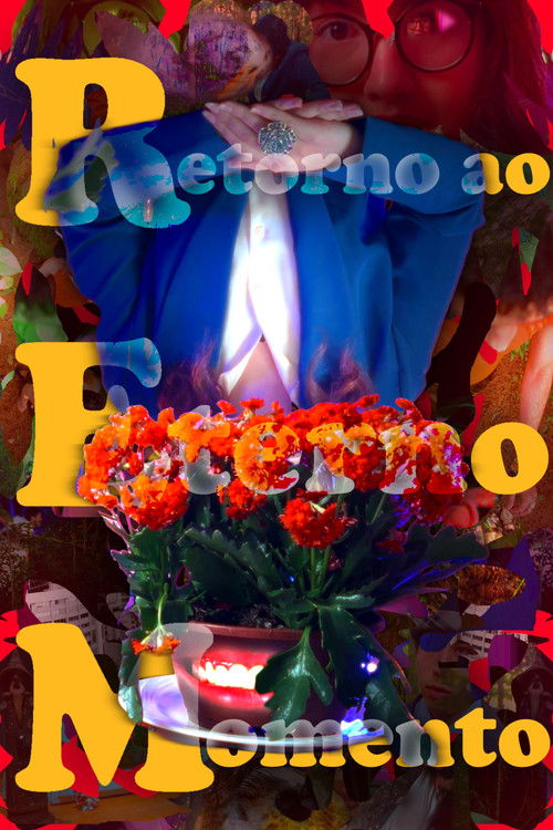 Retorno ao Eterno Momento poster