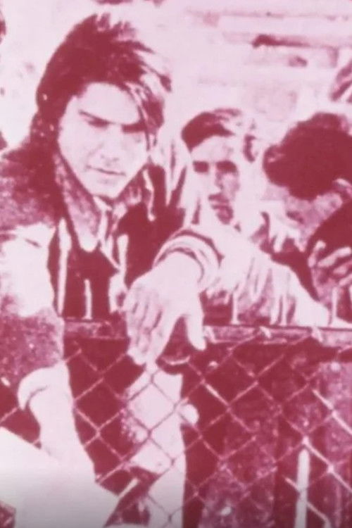 Made in USA (1975) poster