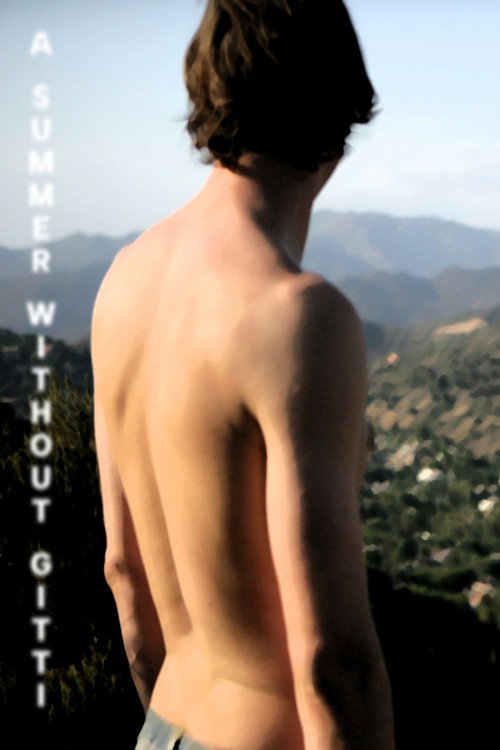 A Summer Without Gitti (2010) poster
