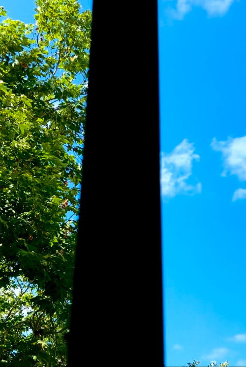 When Butterflies Scream (2025) poster