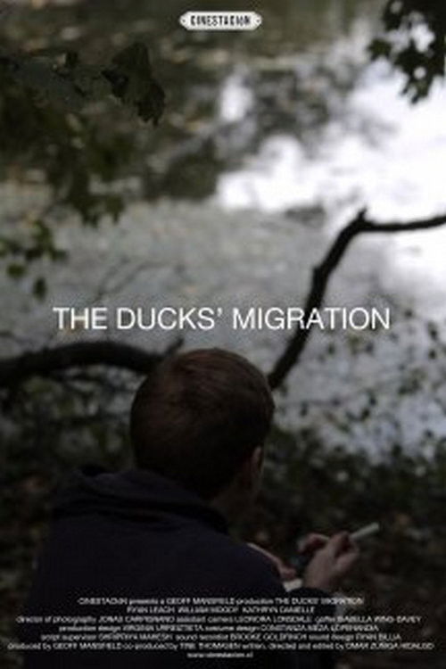 The Ducks' Migration (2012) poster