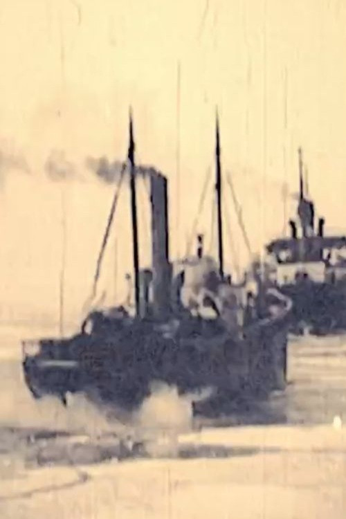 Icebreaker Krišjānis Valdemārs (2012) poster