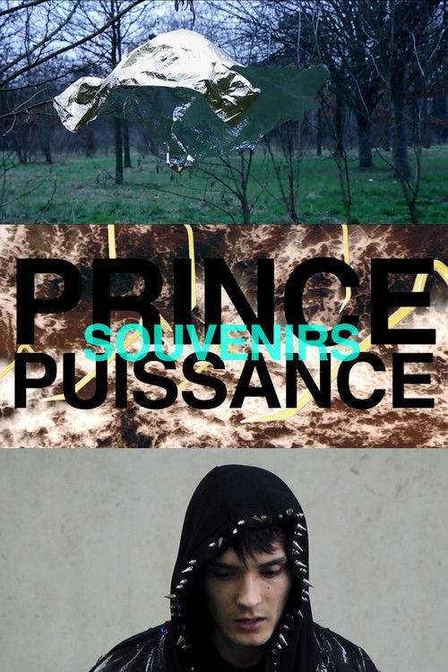 Prince, puissance, souvenirs (2012) poster