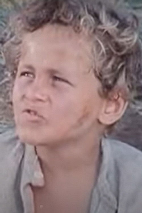 François le Champi (1976) poster