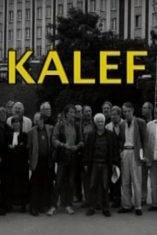 Kalef - A Moszkva téri galeri (2008) poster