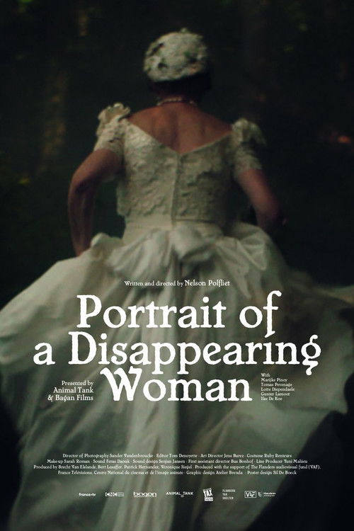 Portrait of a Disappearing Woman (2022) poster