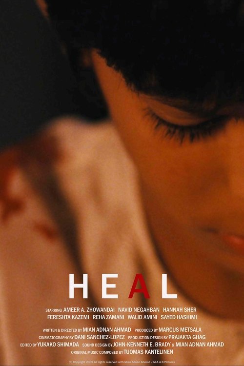 Heal (2010) poster