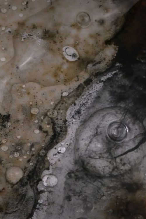 Mémoire entropique (2024) poster