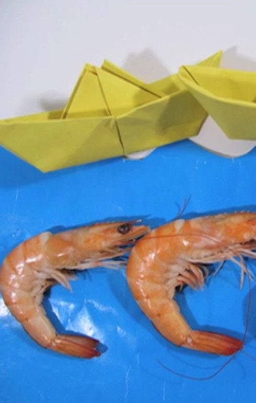 Word In Progress (2010) poster