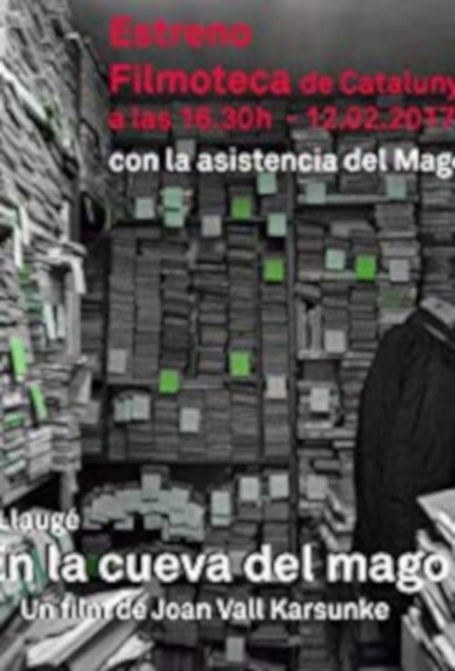 En la cueva del mago (2017) poster