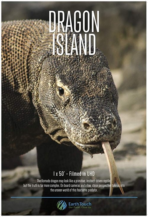 Dragon Island (2016) poster